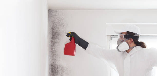 Best Office Mold Removal Services  in Skippers Corner, NC